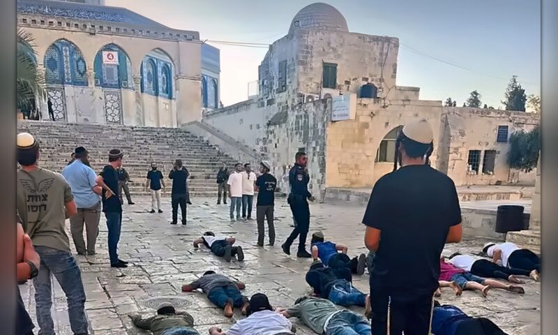 منذ حرب الإبادة.. أكثر من 284 ألف مستوطن اقتحموا الأقصى