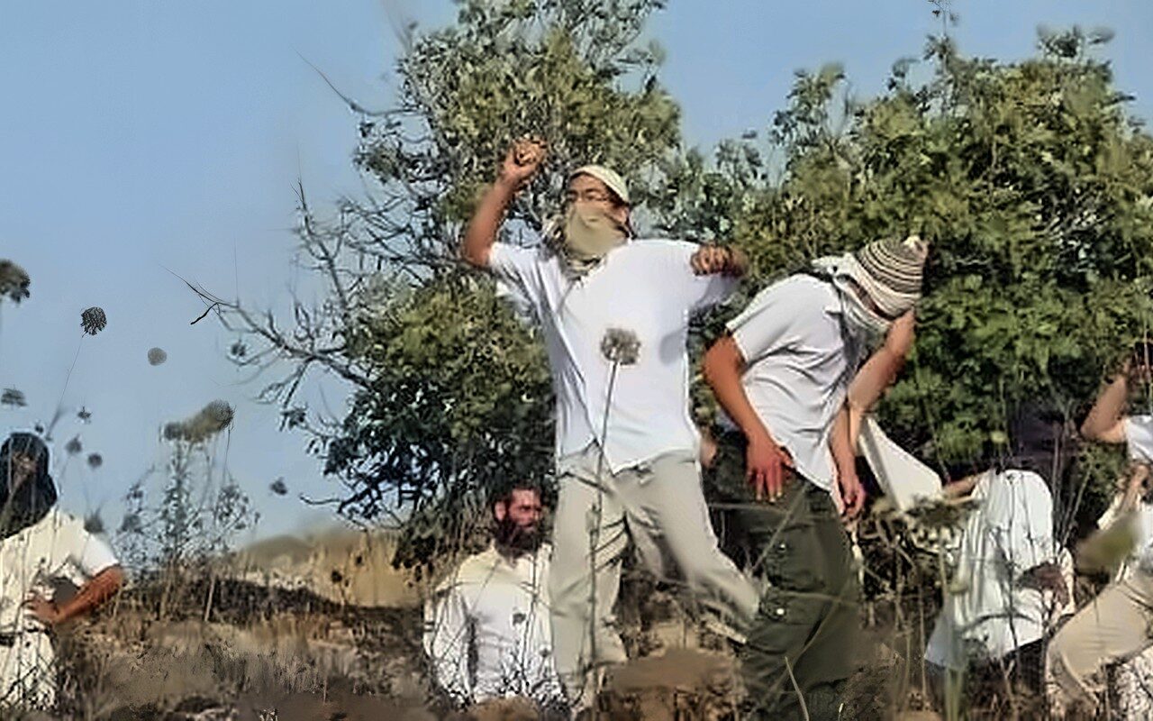 سرقة معدات واحتجاز نساء.. اعتداءات الاحتلال تحاصر موسم الزيتون