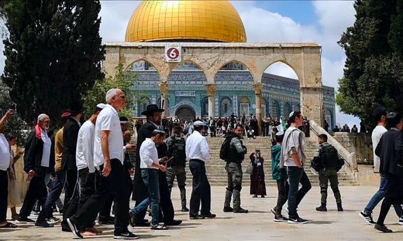 اقتحام الأقصى.. 133 مستوطناً في باحاته بحماية الاحتلال