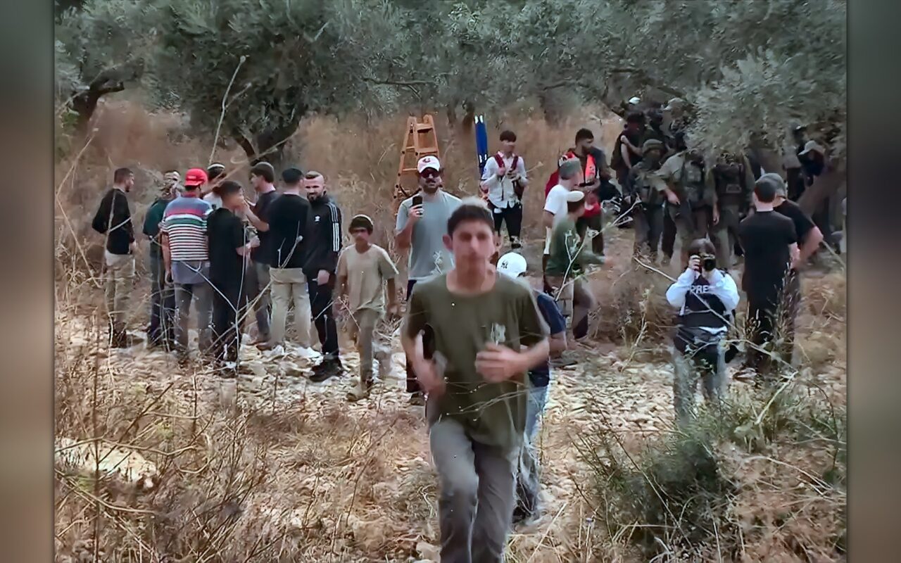 مستوطنون يهاجمون قاطفي الزيتون ويصيبون مزارعين في الضفة