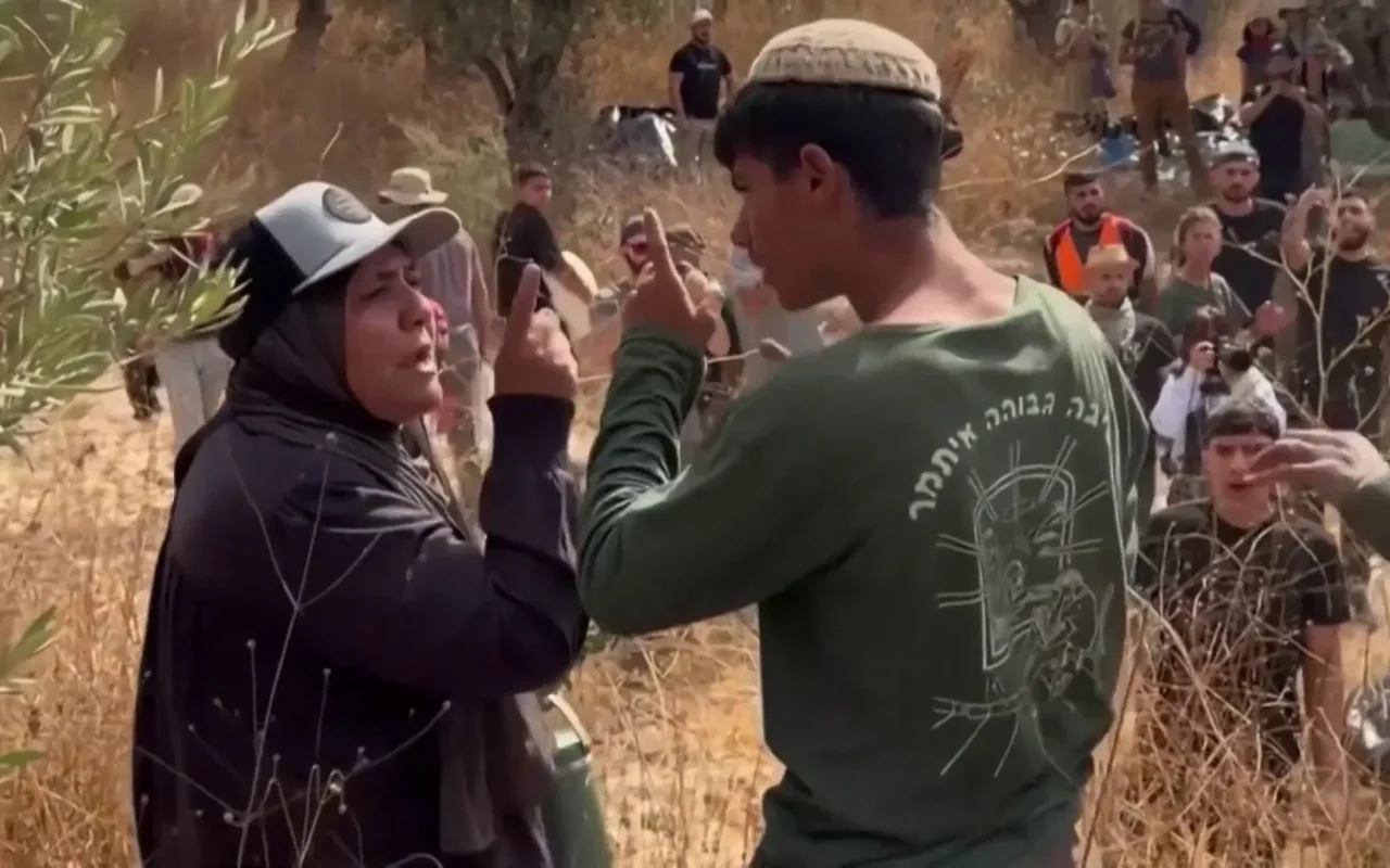 خسائر الزراعة تتجاوز مليون دولار في أسبوع.. وتضرر 2382 شجرة زيتون في الضفة