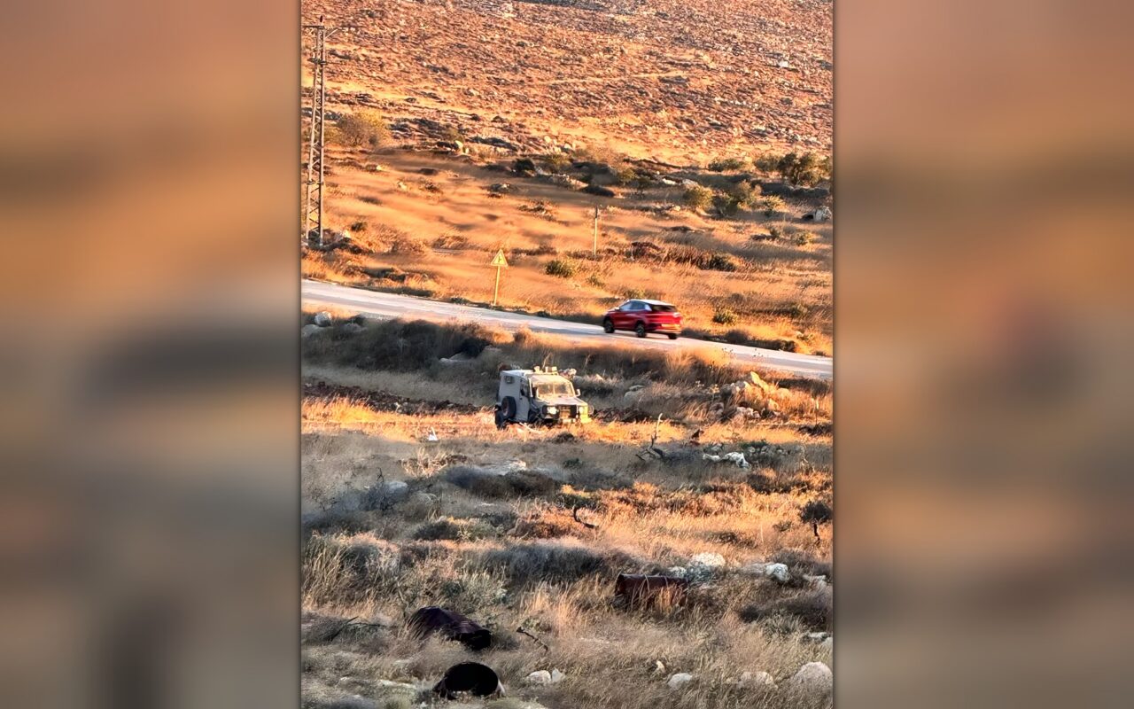 الاحتلال يواصل اقتحاماته واعتقالاته في الضفة.. إصابات بهجوم للمستوطنين على سلواد
