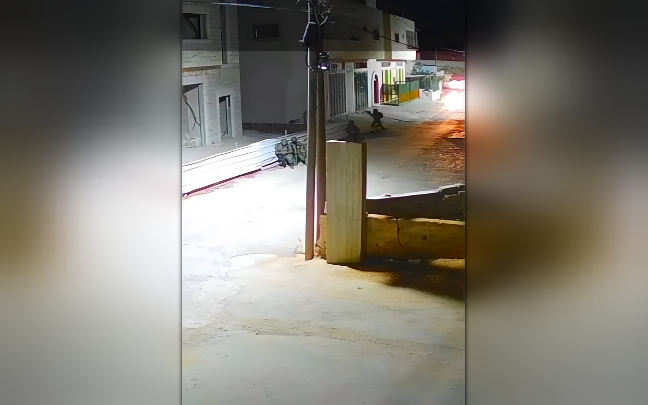 اقتحامات واعتقالات في الضفة.. ومستوطنون يهاجمون الأهالي في الخليل