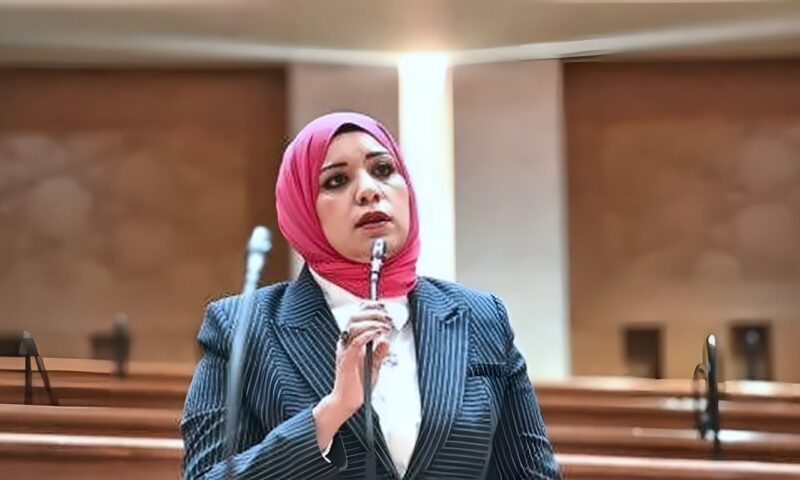 رهام فاروق أحمد رئيسا للجنة الإعلام بمجلس النواب