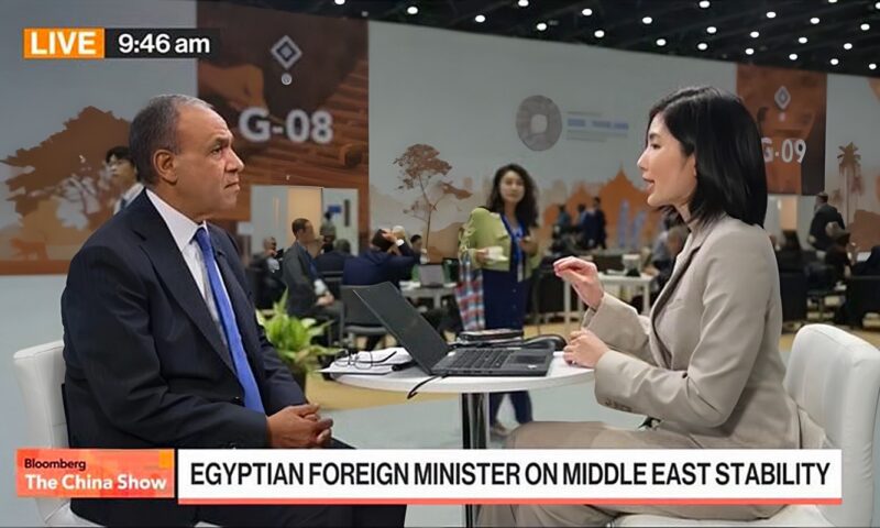 وزير الخارجية يُجري لقاء مع قناة “بلومبرج” عن جولة الرئيس السيسي الآسيوية
