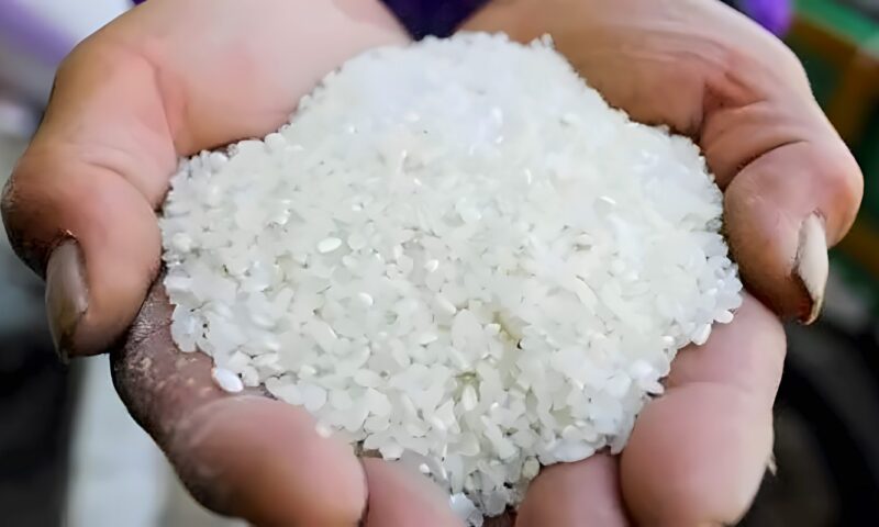 تعرف على أسعار الأرز اليوم الجمعة في الأسواق المحلية