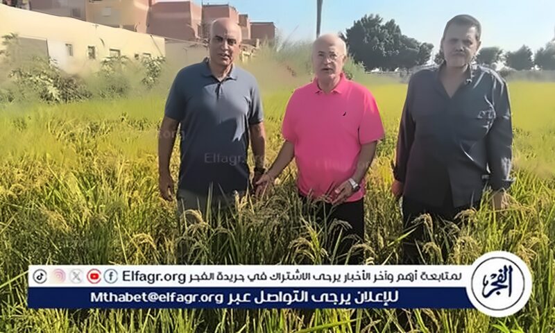 “زراعة عين شمس” تعزز قدراتها الإنتاجية والبحثية بمركز التجارب والبحوث بشلقان
