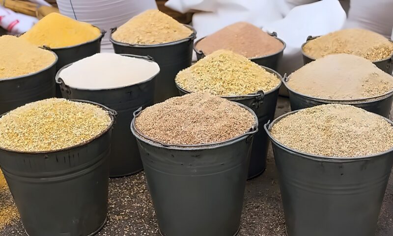 انخفاض الذرة والصويا، أسعار الأعلاف والحبوب في الأسواق اليوم الإثنين