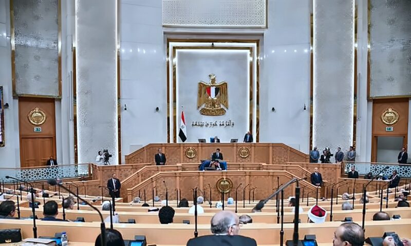 اليوم، إعادة تشكيل اللجان النوعية بمجلس الشيوخ وانتخاب هيئات مكاتبها